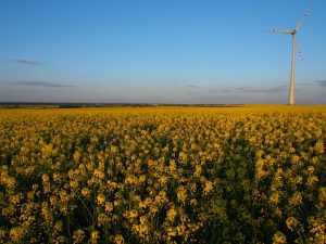 Bardziej żółto niż zielono | Gdzieś w PL